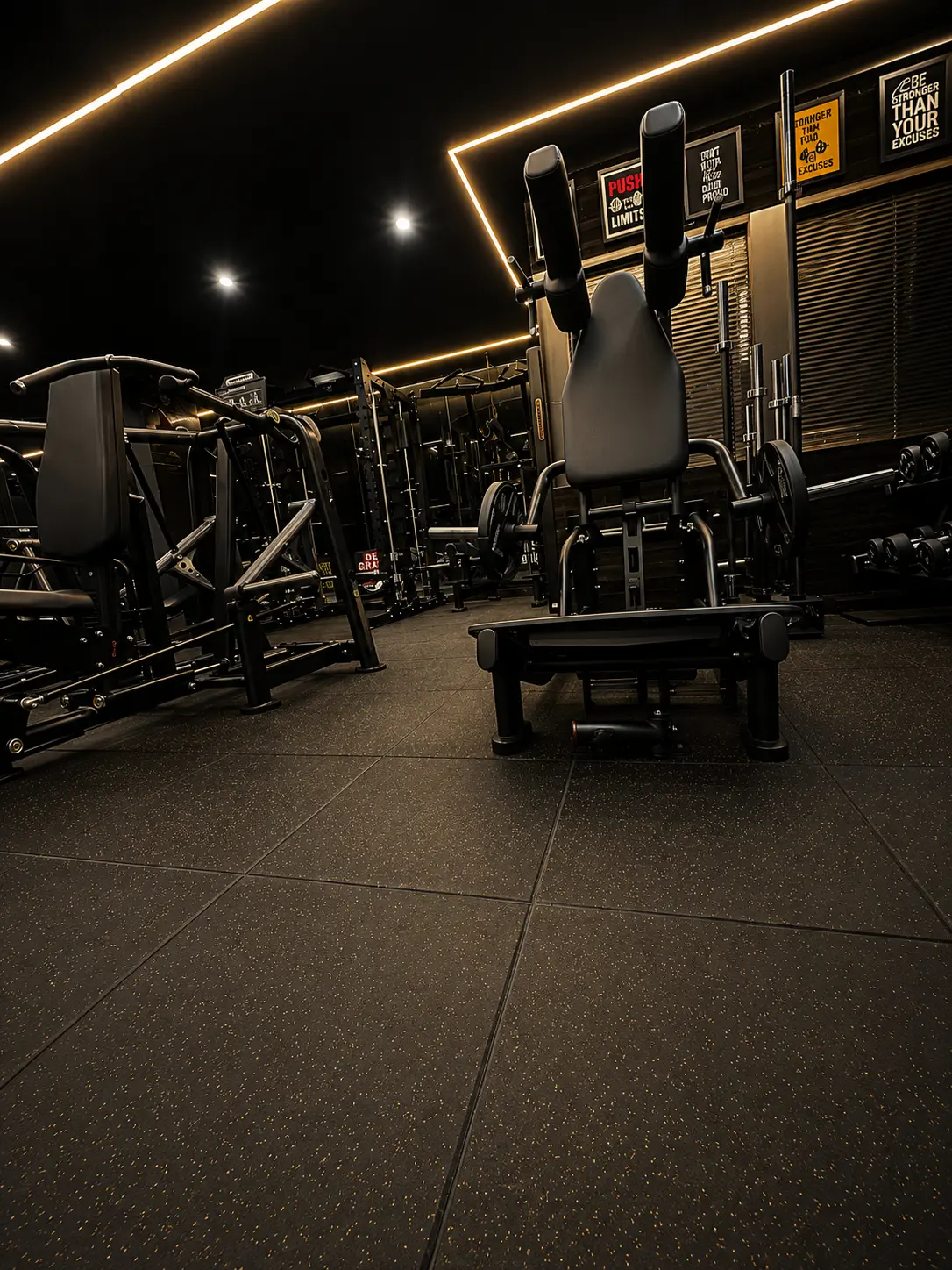 Plate-loaded machines under linear lighting